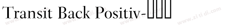 Transit Back Positiv字体转换